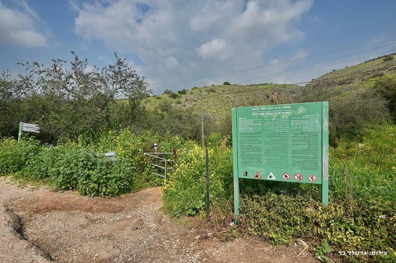 Mul Kinneret Ливним Экстерьер фото