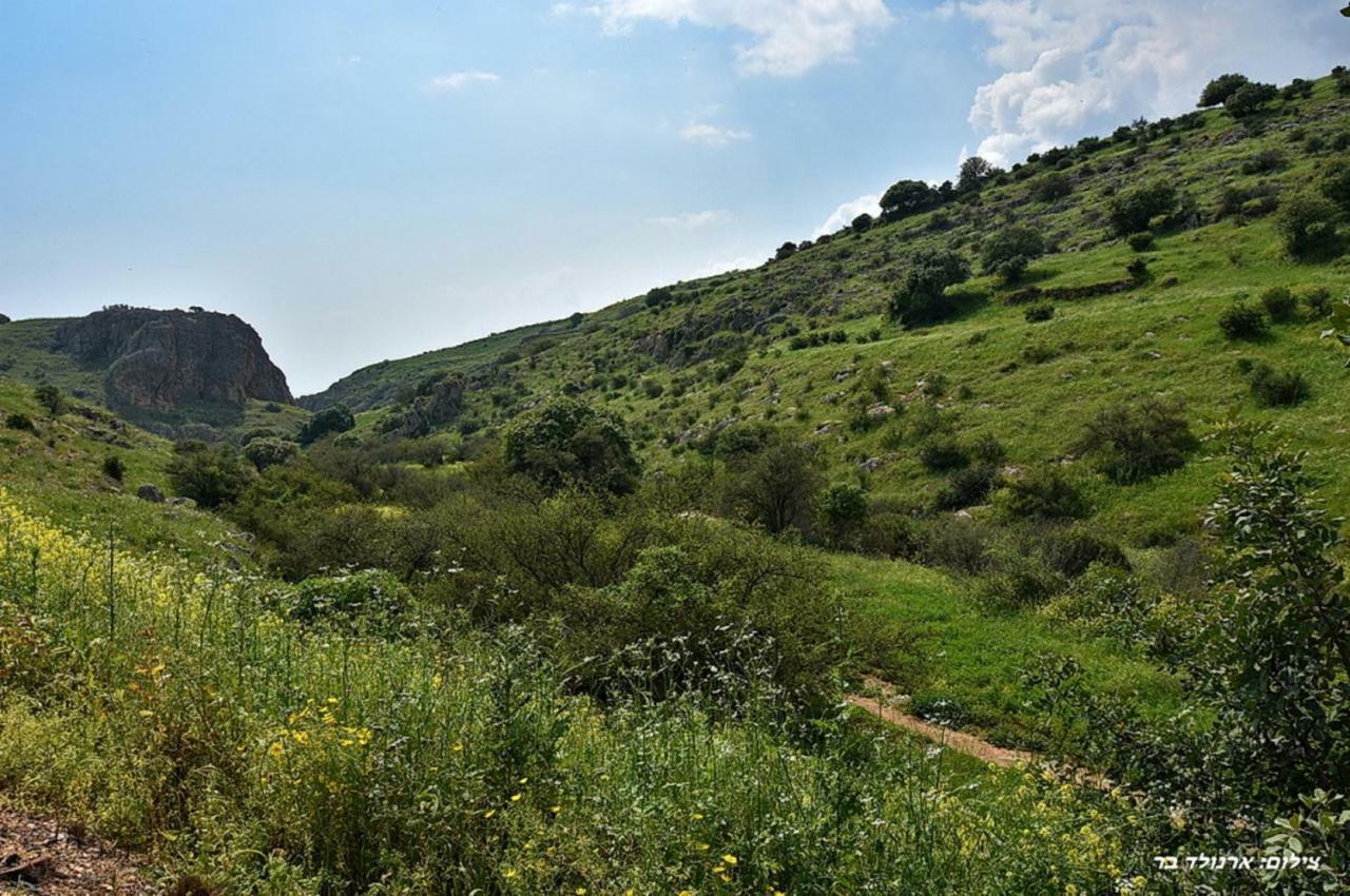 Mul Kinneret Ливним Экстерьер фото